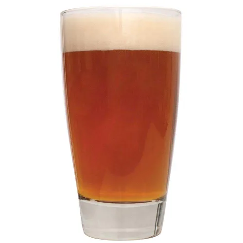 Vista 11 de Northern Brewer - Paquete de 2 kits de recetas de cerveza belga de 1 galón