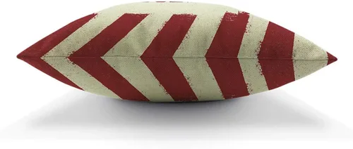 Vista 5 de AOYEGO Americana - Funda de almohada patriótica para el Día de la Independencia America Home Because of The Brave, funda de almohada decorativa