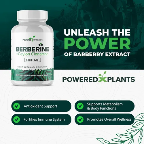 Vista 3 de Suplemento de berberina pura, 1300 mg de berberina con canela de Ceilán para el metabolismo y el apoyo del sistema inmunológico, 1 paquete de 180