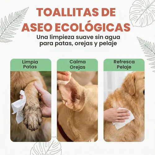 Vista 5 de Eco Wave - Toallitas de aseo para perros y gatos, sin perfume