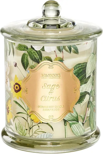 Vista 20 de M&SENSE Velas de Cítricos para el Hogar Aromáticas, Vela de Soja Orgánica Natural de 12.7oz 75 Horas de Larga Duración de Combustión Lenta, Vela