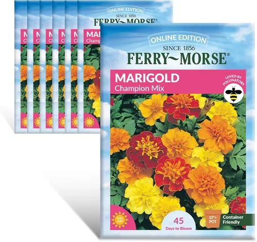 Vista 21 de Ferry-Morse Edición Online Bean Blue Lake Bush 274 Semillas Orgánicas Multipack – Paquete de 8