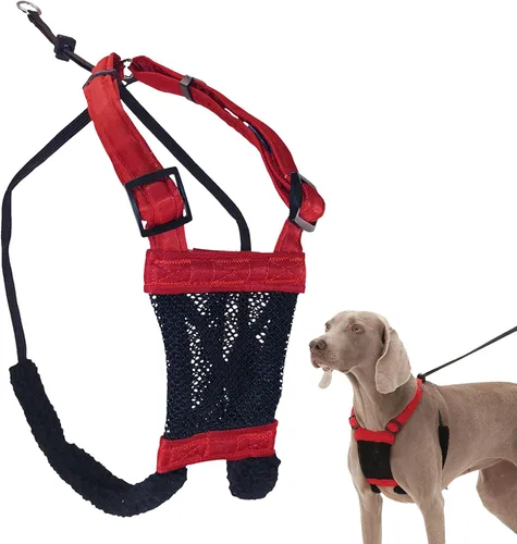 Vista 9 de Sporn Arnés para perro extra pequeño sin tirones, fácil y ajustable para cachorros en crecimiento, ligero, transpirable, nailon duradero, cuerpo