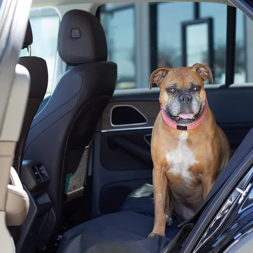 Vista 5 de Amazon Basics Funda impermeable para asiento de automóvil para perro, protector a prueba de arañazos para mascotas, banco trasero de automóvil, 56 x