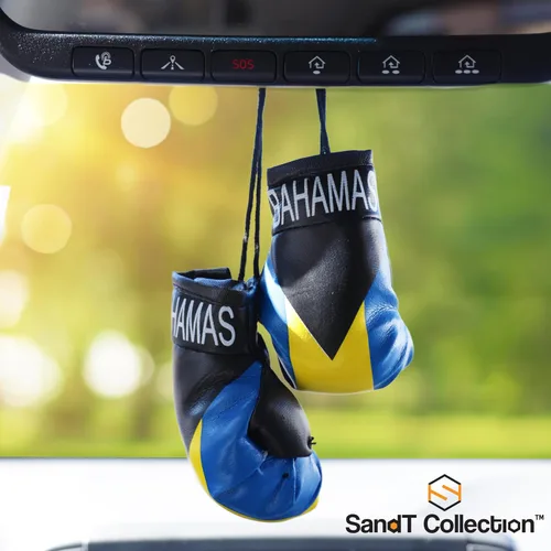 Vista 2 de SandT Collection Guantes de boxeo pequeños con bandera del país - Guantes de boxeo para colgar