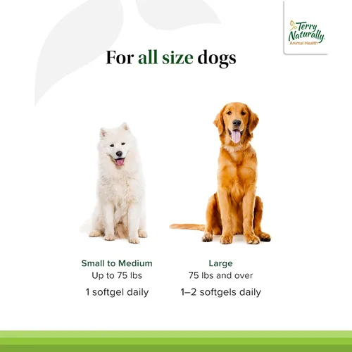Vista 4 de Terry Naturally Animal Health Curacel Curcumina - Antioxidante - 60