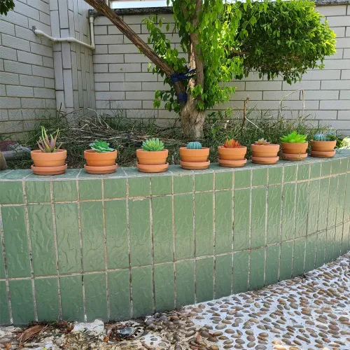 Vista 5 de Yishang Macetas de terracota poco profundas de 3.5 pulgadas con platillo/bandeja, maceta de arcilla cerámica con orificio de drenaje para macetas