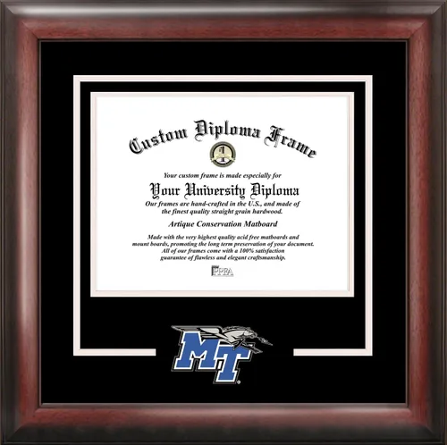 Vista 29 de Marco de Diploma Spirit NCAA