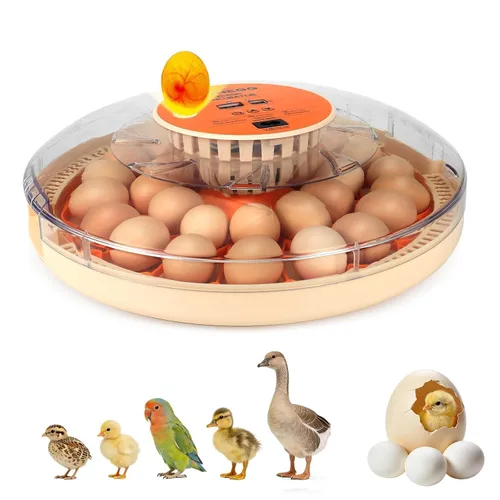 Vista 15 de Gen II - Incubadora automática de 12 huevos, humedad de dos etapas con recarga automática y control de temperatura estable, giro automático