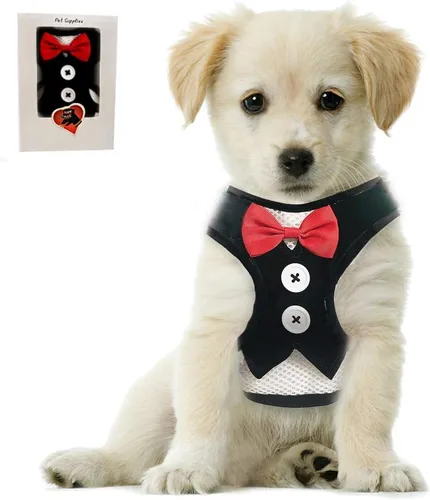 Vista 6 de Bark Lover Arnés para cachorro pequeño con corbatín, chaleco ajustable de malla para perros pequeños, gatitos, perfecto para fiestas, bodas y Negro