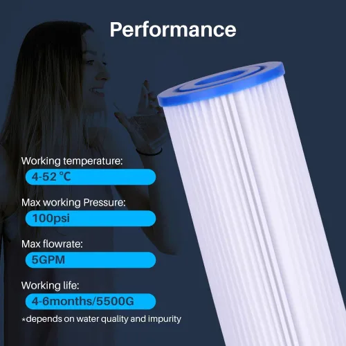 Vista 5 de CFS Paquete de 2 cartuchos de filtro de agua resistentes compatibles con modelos R50-BBSA - Elimina el mal sabor y el olor - Cartucho de filtro