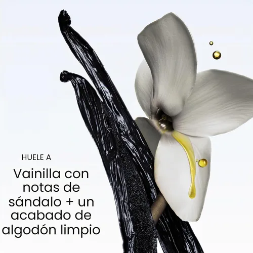 Vista 9 de Briogeo Destinado a la densidad de cafeína + acondicionador de densidad de péptidos de biotina Aumenta el grosor y el volumen del cabello