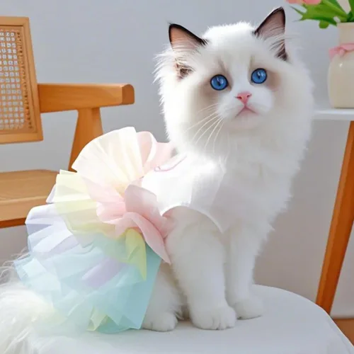 Vista 62 de ANIAC Daisy Vestidos para Perros Pequeños Hembra con Anillo para Correa, Nudo de Lazo Vestido de Boda para Cachorra, Traje de Gato de San Valentín