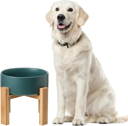 Vista 17 de Cuenco elevado de cerámica para gatos - Cuenco de comida para gatos con soporte de bambú - Plato elevado de comida para perros para cachorros - Verde