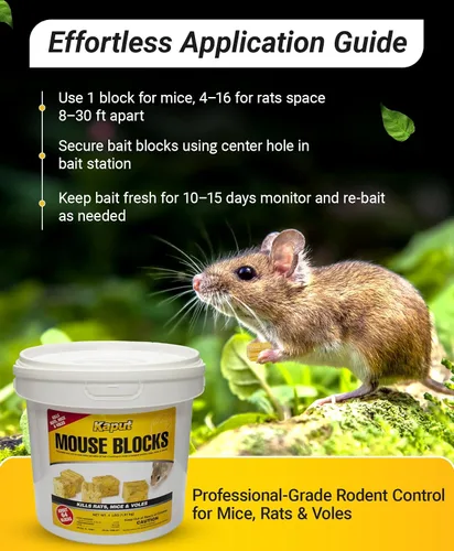 Vista 6 de Kaput Bloques para Ratones, Cebo para Roedores para Ratones y Ratas, Veneno para Topos Warfarina para Uso en Interiores/Perímetro, Mata Roedores