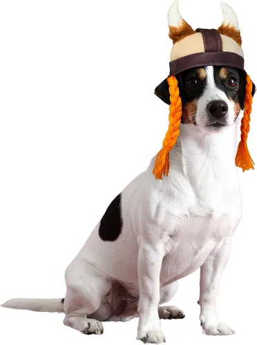 Vista 2 de Rubies Costume Company sombrero de vikingo con trenzas, para mascotas, S / M