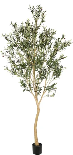 Vista 11 de Realead Árbol de olivo artificial de 6 pies, plantas de olivo sintético alto, árbol de seda de olivo falso en maceta con ramas y frutas, árboles