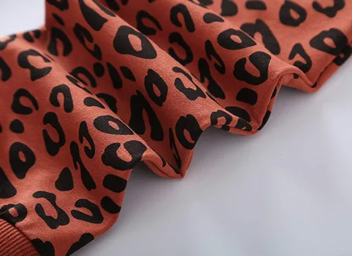 Vista 7 de Conjunto de ropa con estampado de leopardo para niñas pequeñas, camiseta de manga larga y pantalones, 2 piezas