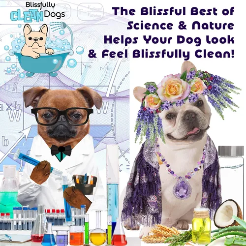 Vista 6 de The Blissful Dog Shine-On + Sheen Coat - Spray para perro, acondicionador fácil de usar, acondicionador sin enjuague sensible a la piel, espray