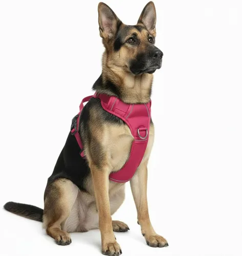 Vista 19 de Arnés sin tirones para perro, con 2 clips para correa, chaleco Oxford reflectante ajustable para mascotas con asa de fácil control para perros Negro