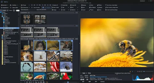 Vista 2 de Photo editing software compatible with Windows 11, 10 – view, edit, enhance and organize your photos – more than 200 features
