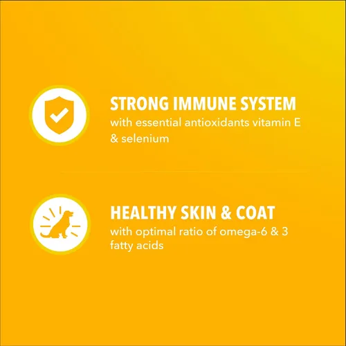 Vista 5 de IAMS Proactive Health - Alimento seco para cachorros sabor pollo, bolsa de 5 libras Omega-3 DHA for cognitive & vision development, protein from