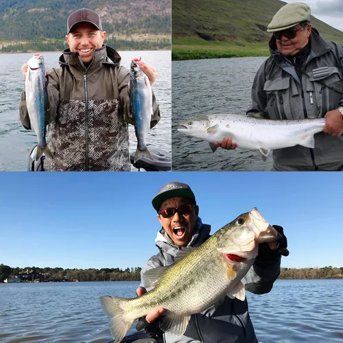 Vista 8 de Dr.Fish Paquete de 100 anzuelos de pesca de pulpo, agua salada y agua dulce, cebo vivo compensado bagre lubina surf anzuelos de pesca Texas Drop