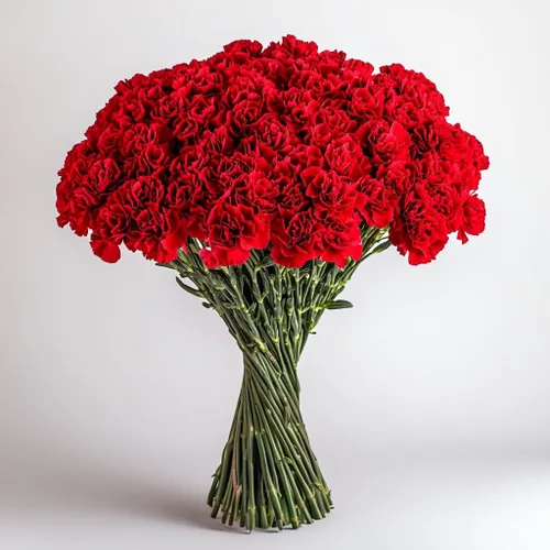 Vista 10 de GlobalRose 100 flores de clavel rosa – Claveles de flores frescas de origen responsable – Ramo fresco seleccionado a mano para graduación
