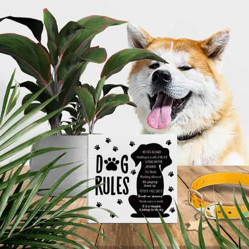 Vista 5 de Divertida decoración de escritorio para amantes de los perros, reglas de perro, decoración de perro para la oficina en casa, decoración de A1