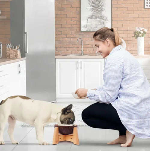 Vista 4 de Cuenco para perros para gatos y perros pequeños, totalmente natural, cuenco de cáscara de coco pulido con soporte de madera, altura total