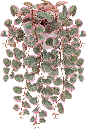 Vista 9 de Briful Plantas colgantes de imitación para interiores de 17 pulgadas, cadena artificial de corazón con semicírculo para montaje en pared, plantas