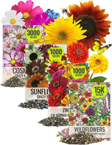 Vista 10 de Colección de semillas de algodoncillo (6 paquetes individuales de semillas) semillas polinizadas abiertas Seed Needs