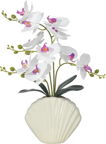 Vista 13 de Phalaenopsis de seda de orquídea azul de 16 pulgadas en maceta