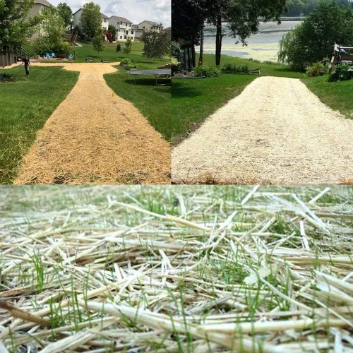Vista 7 de Estacas de jardín resistentes de 6 pulgadas fabricadas en Estados Unidos. Potencia de sujeción más fuerte frente a las estacas de metal