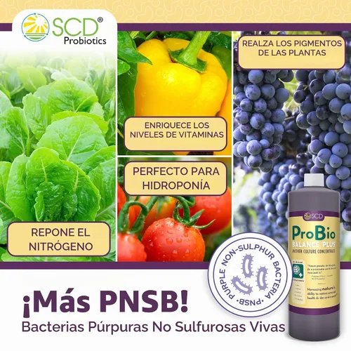 Vista 3 de SCD Probiotics ProBio Balance Plus - Haz 20 veces más acondicionador de suelo - Super concentrado de microorganismos beneficiosos eficaces +
