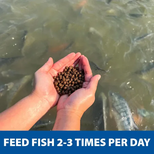 Vista 9 de The Pond Guy Game Fish Grower - Alimento flotante de pellets, nutrición acuática completa para lubina, trucha y bagre en estanques y lagos de agua
