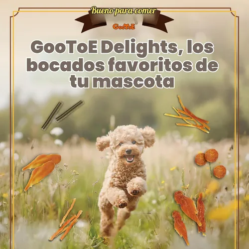Vista 7 de Gootoe - Golosinas para perros, altas en proteínas, chips de pollo, 1 libra