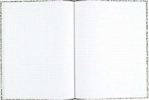 Vista 6 de National Composition Lab - Cuaderno con regla cuadrille, cubierta verde, (60) hojas de 10.13 x 7.88
