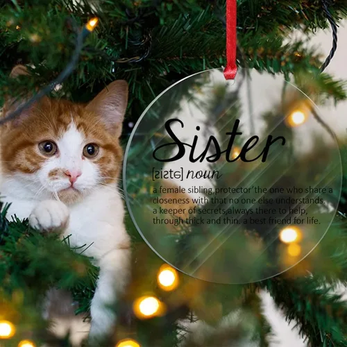 Vista 4 de Definición de hermana sustantivo adorno colgante para árbol de Navidad, definición de hermana, adornos acrílicos para decoraciones de Navidad