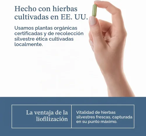 Vista 7 de Hierba ecléctica, cápsulas concentradas de apoyo hepático, desintoxicación, 45 CT, 400 mg