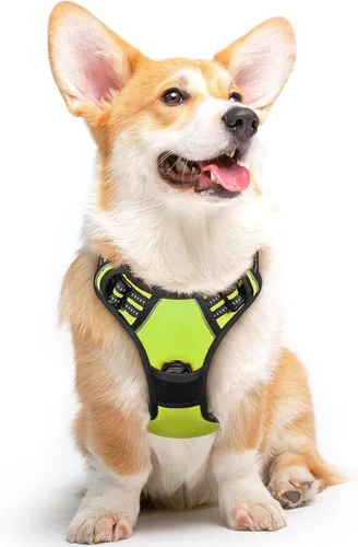 Vista 80 de Eagloo Arnés para perro pequeño, sin tirones, chaleco de servicio con tiras reflectantes y asa de control, ajustable y cómodo para caminar, arnés