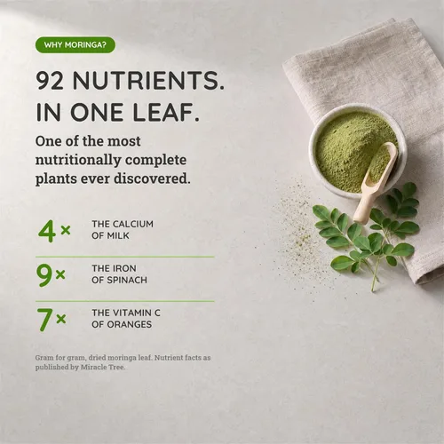 Vista 4 de Superalimento de moringa orgánica en polvo de Miracle Tree