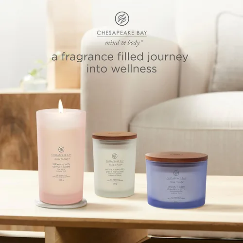 Vista 4 de Chesapeake Bay Vela perfumada Vela de aromaterapia en vaso de 3 mechas Stillness + Purity Tiempo de combustión: hasta 24 horas Colección Mind