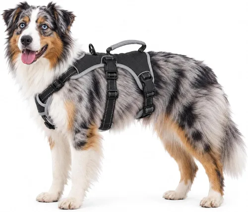Vista 33 de Huntboo - Arnés para perro a prueba de escape, arnés reflectante con asa, duradero, chaleco ajustable para perros pequeños, medianos y grandes