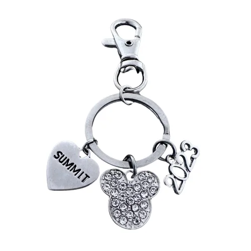 Vista 2 de 2023 All Star Cheer Summit Zipper Pull Keychain for Cheerleaders, Cheer Keychain, All Star Worlds, D2 Summit Cheer Gifts