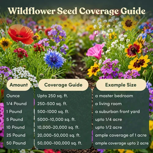 Vista 7 de Agitador de semillas de flores silvestres – Mezcla anual de GevaGrow 17 variedades de semillas de flores para plantar en macetas y jardines al