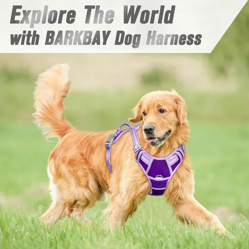 Vista 106 de BARKBAY - Arnés para perro sin tirones con clip frontal, material resistente y reflectante, asa de fácil control para pasear perros grandes