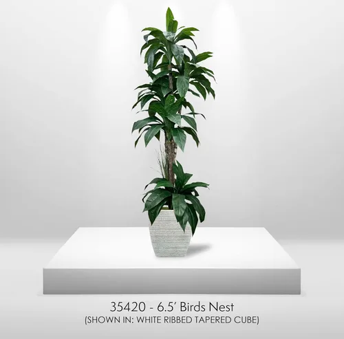 Vista 9 de Cypress & Alabaster Árbol artificial de cuna tropical de 6.5 pies hecho a mano con troncos de madera real de origen ético, hipoalergénico, 6.5 pies