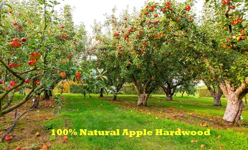 Vista 5 de Parrilla de barbacoa natural de madera dura para hornear manzana pellets bolsa de pellets de 4 libras