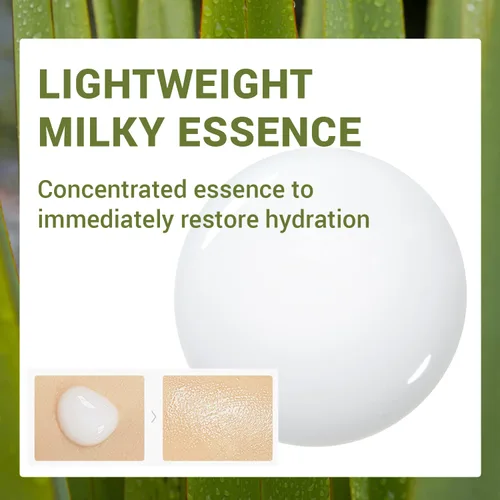 Vista 4 de THESAEM Urban Eco Harakeke Essence 1.69 onzas líquidas - Esencia facial hidratante vegana con extractos de Harakeke y ácido hialurónico - Refina
